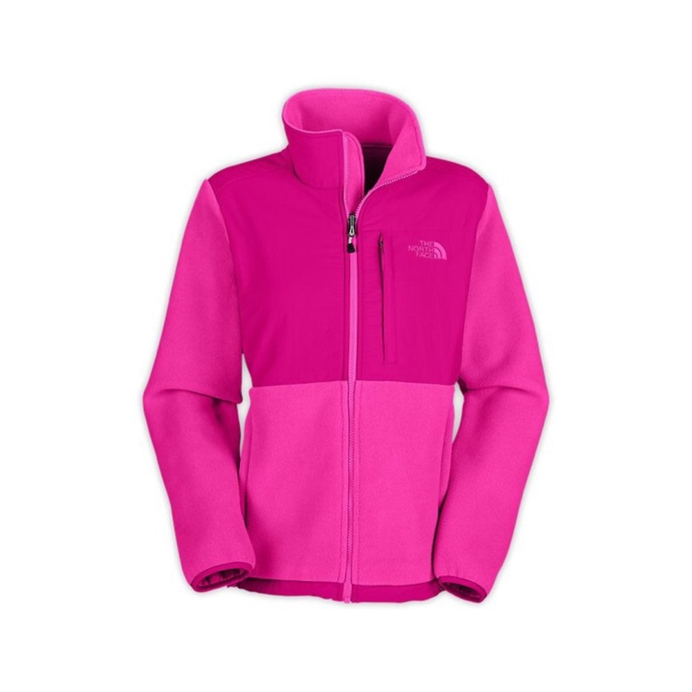 RARE North Face Denali Jacket